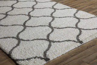 Feather Shag Ivory Charcoal Links 5'0" x 8'0" Rug