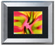 ''Pink Owl'' Matted Framed Art, Silver Frame, Black Matte, 14x11