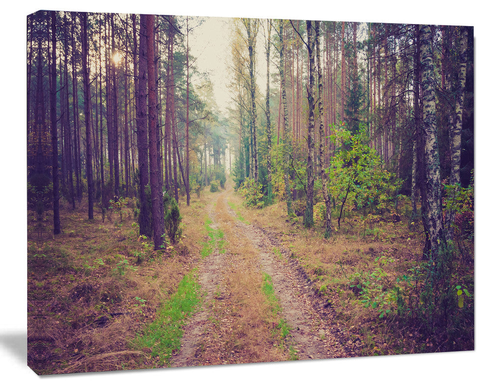 Straight Pathway in Thick Forest, Modern Forest Canvas Art, 60"x28"