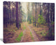 Straight Pathway in Thick Forest, Modern Forest Canvas Art, 60"x28"