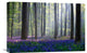 "Bluebells" Stretched Canvas Giclee by Adrian Popan, 22x15"