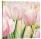 "Primavera I" Stretched Canvas Giclee by Luca Villa , 36x36"