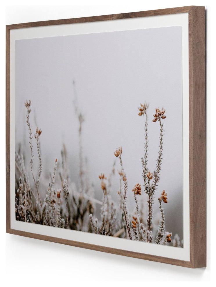 In The Details Ii By Annie Spratt