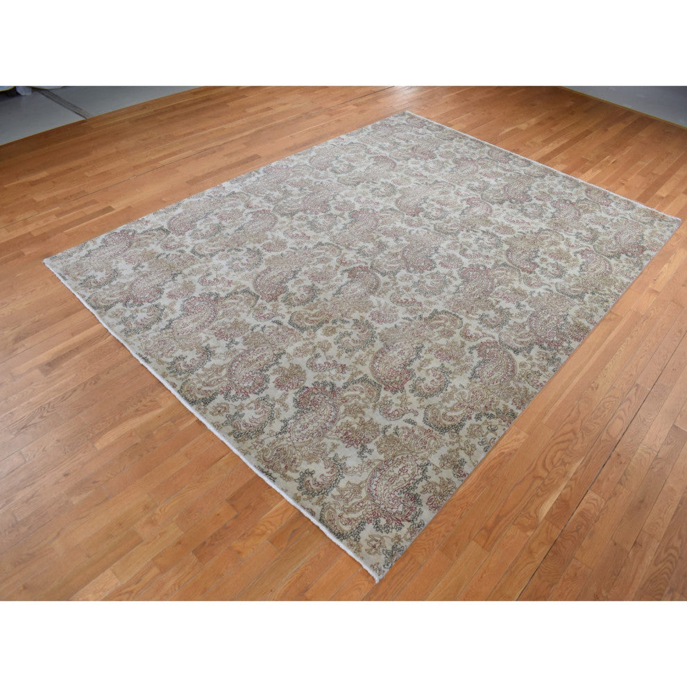 Agreeable Gray Agra with Paisley Design 100% Wool Hand Knotted Rug 9'1" x 12'3"