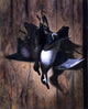 Edward Edmondson Hanging Water Fowl, 20"x25" Gallery Wrapped Canvas Print