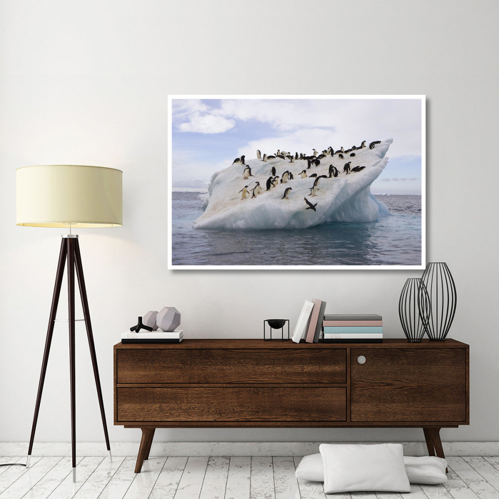 "Adelie Penguin flock on iceberg near Paulet Island" Paper Art, 62"x42"
