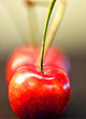 "Cherry on Top" Metal, 32"x44"