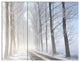 Winter Rural Road on Misty Morning, Forest Canvas Art Print, 36x28, 3 Panels
