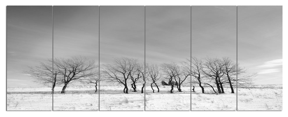Black and White Trees in Winter, Landscape Canvas Art Print, 70"x28", 6 Panels