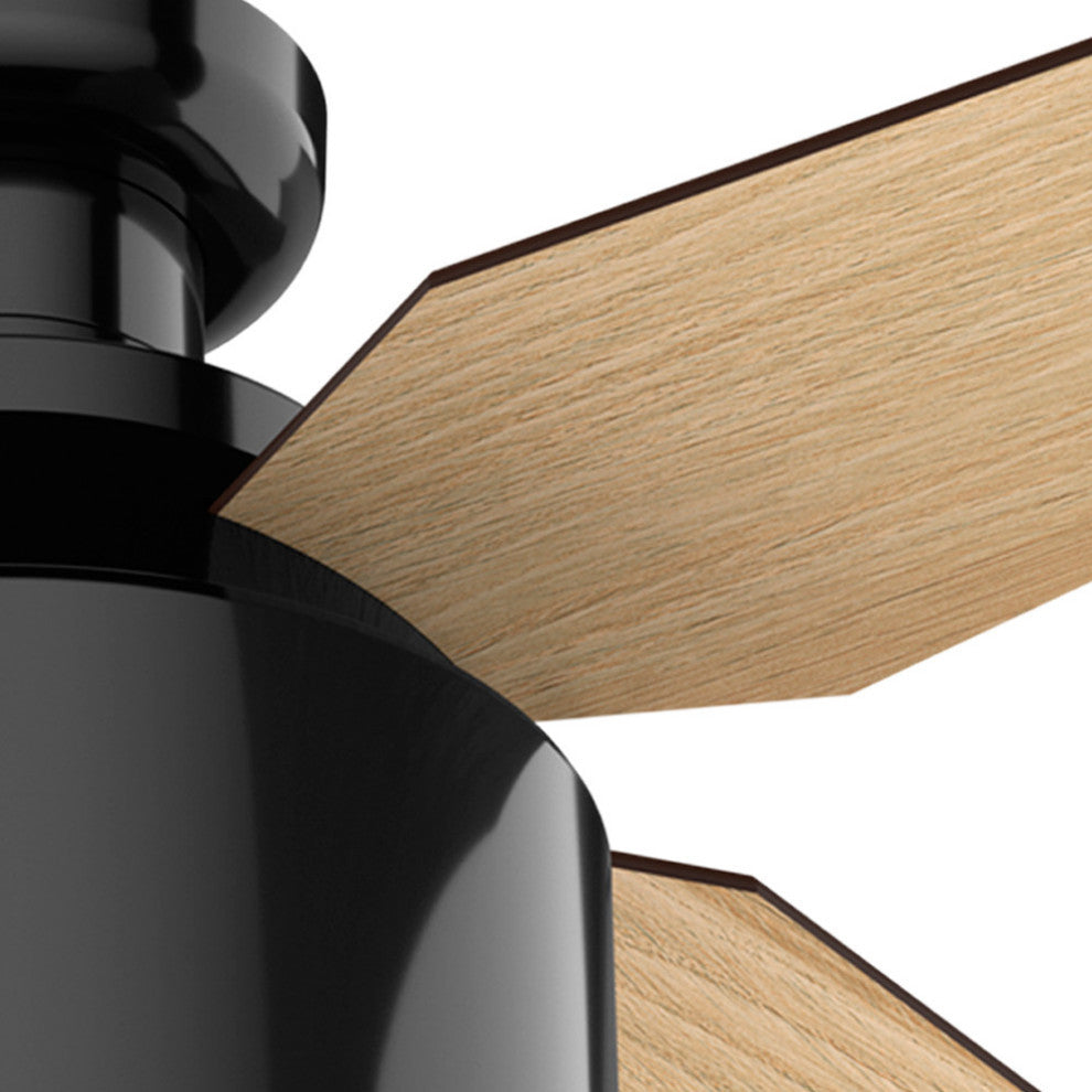 Hunter Fan Company 52" Cranbrook Low Gloss Black Ceiling Fan w/ Light/Remote