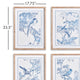 Monochromatic Bird Study Gallery, Set of 4