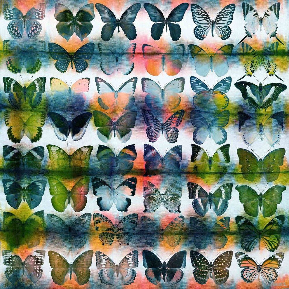 "Butterflies Squared" Fine Art Canvas Print, 40"x40"