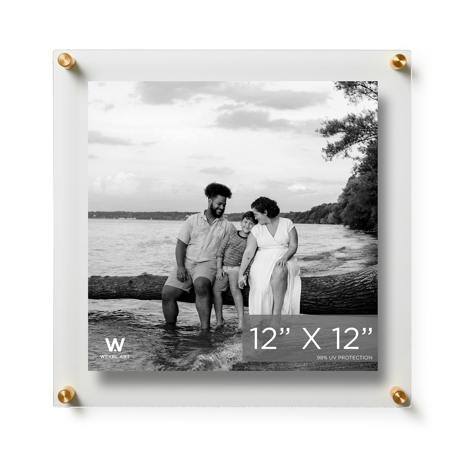 15"x15" Double Panel Acrylic Wall Frame For 12"x12" Art, Gold Hardware