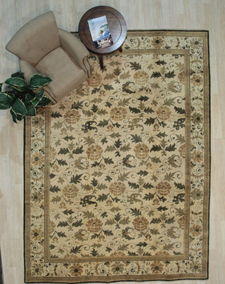 Ivory Transitional All Over Ningxia Area Rug