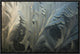 Frost Crystal Patterns On Glass, Ross Sea, Antarctica, 18"x12"