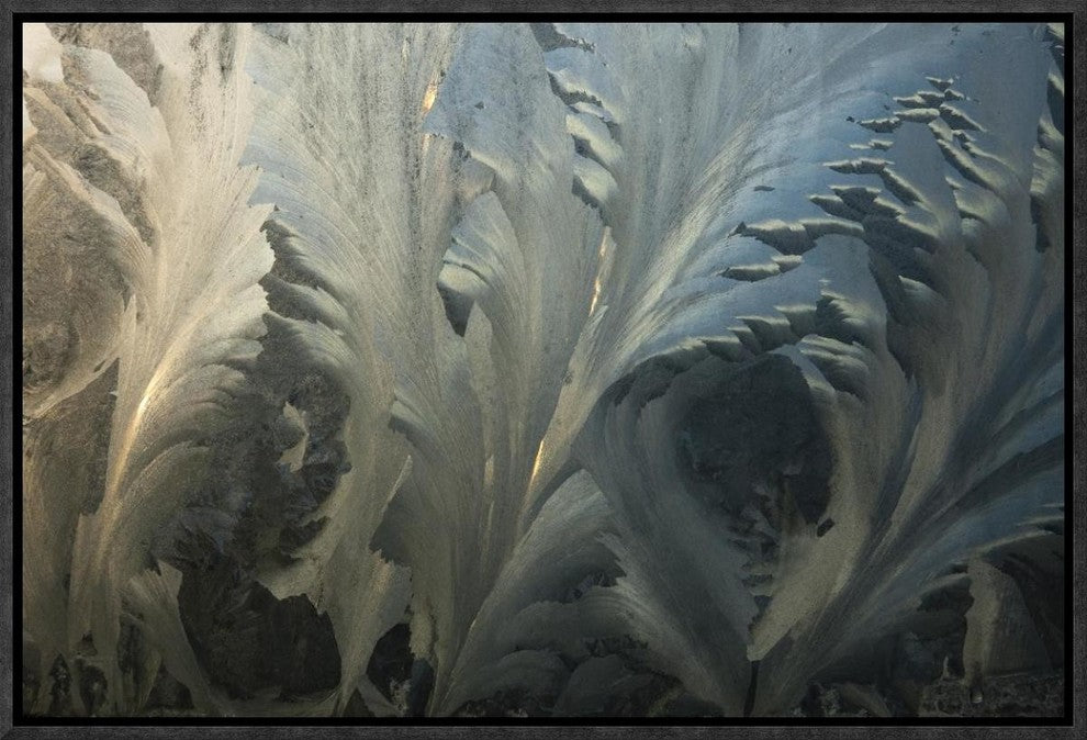 Frost Crystal Patterns On Glass, Ross Sea, Antarctica, 18"x12"