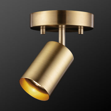 Pratt 1-Light Track Lighting Spotlight, Matte Brass