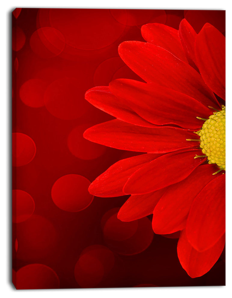 Red Flower with Lit up Background, Large Floral Canvas Artwork, 30"x40"