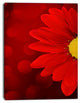 Red Flower with Lit up Background, Large Floral Canvas Artwork, 30"x40"