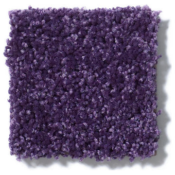 Shaw Carpet Kids Crossing Grape Jelly Area Rugs, 6''x9''
