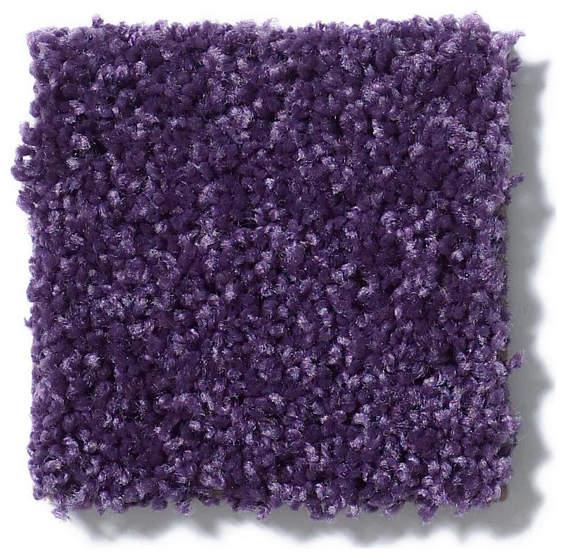Shaw Carpet Kids Crossing Grape Jelly Area Rugs, 6''x9''
