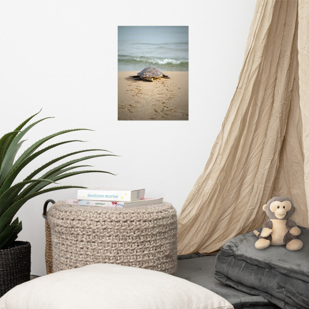 Baby Loggerhead Sea Turtle Beach Ocean Photograph Loose Wall Art Print, 12" X 16"