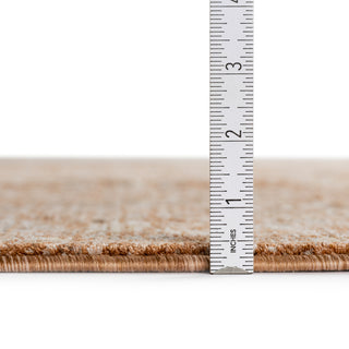 Vienna VI9 Paprika 5' x 7'10" Rug