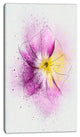 Purple Flower Sketch with Splashes, Floral Canvas Art Print, 16"x32"