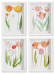 Tulip Prints, Set of 4