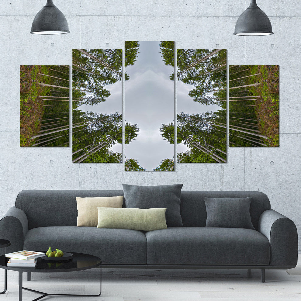 Circle Composition of Coniferous Trees, Landscape Canvas Art, 60"x32", 5 Panels