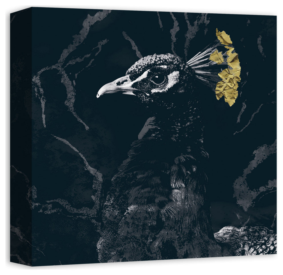 Fancy Peacock Deep Teal 12x12 Canvas Wall Art