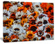Colorful Sunflowers in Garden, Floral Canvas Art Print, 20"x12"