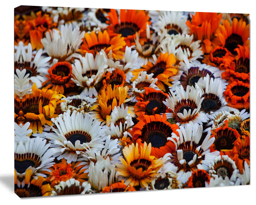 Colorful Sunflowers in Garden, Floral Canvas Art Print, 20"x12"