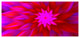 Dance of Bright Spiral Pink Flower, Large Floral Canvas Art Print, 60"x28"