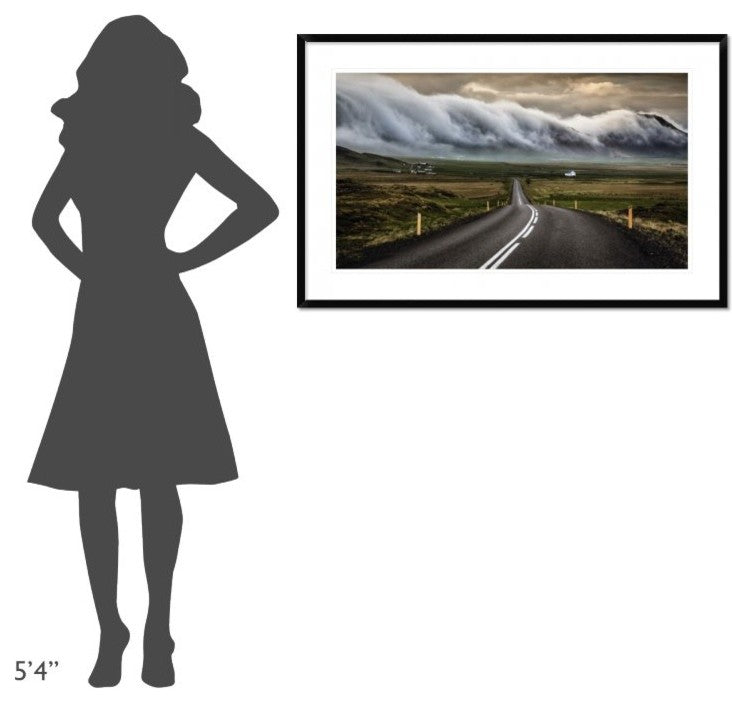 "Untitled" Framed Digital Print by Sus Bogaerts, 44x28"