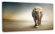 Smart Elephant Walking, Animal Canvas Wall Art, 32"x16"