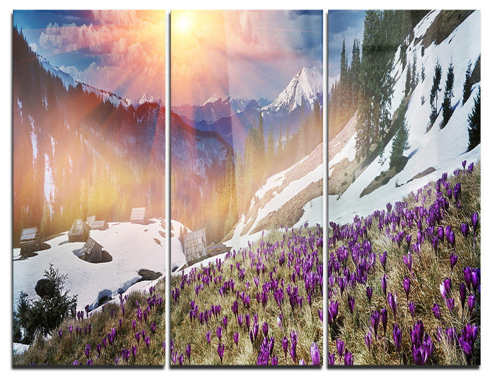 "Crocus Flowers in Carpathians" Photo Metal Wall Art, 3 Panels, 36"x28"