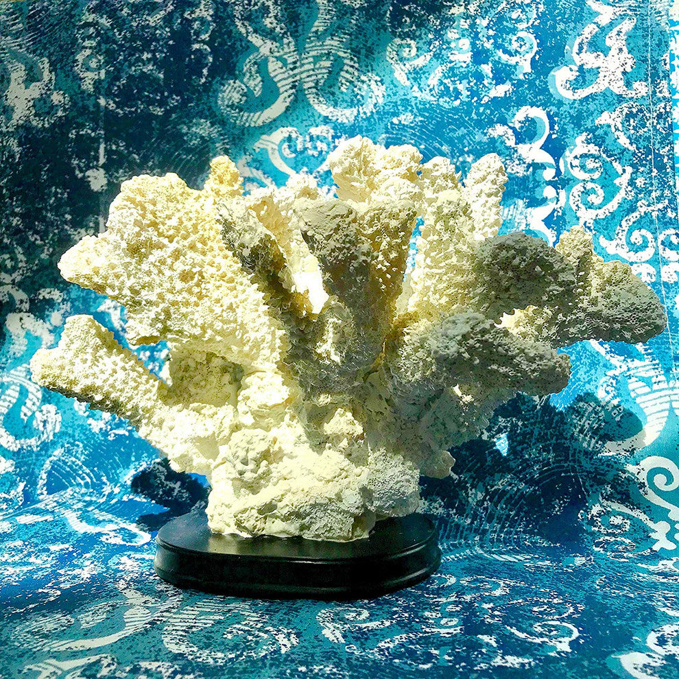 Bleached Coral Table Decor