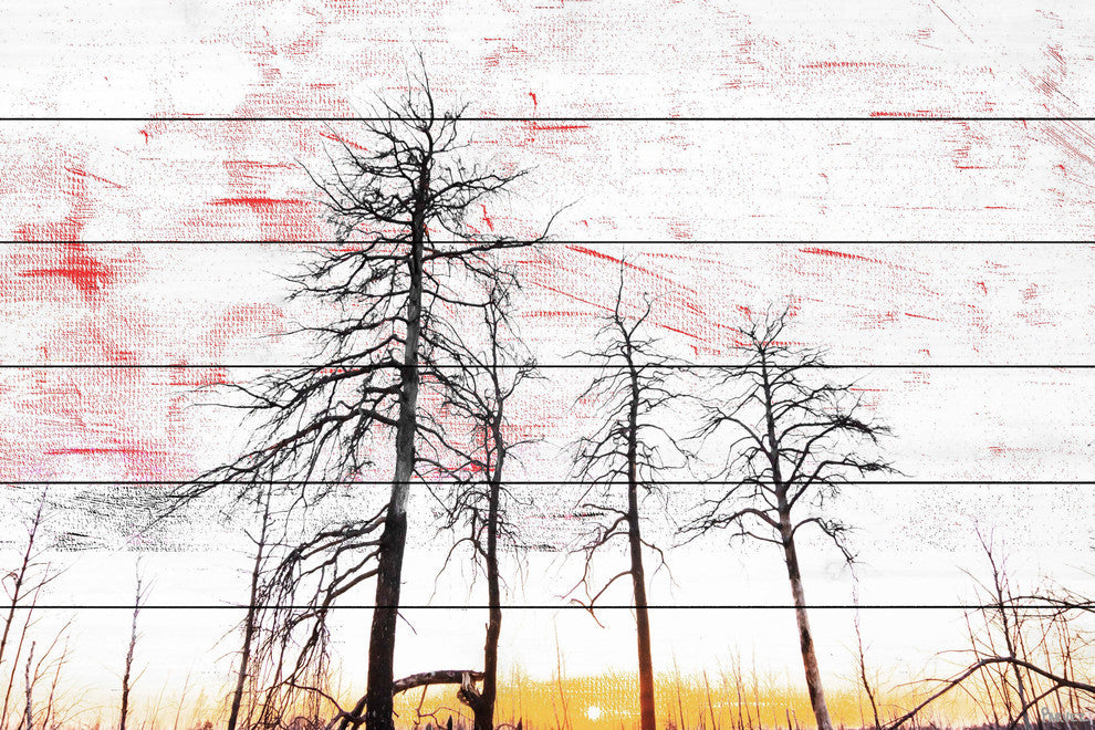 "Tall and Wispy" Print on White Wood, 60"x40"