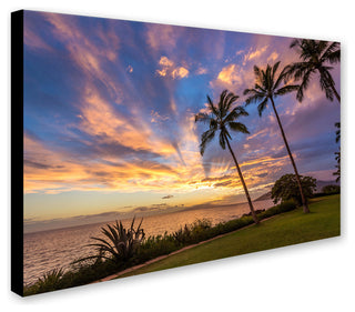 Pierre Leclerc 'Magical Hawaiian Sky' Canvas Art, 32x22