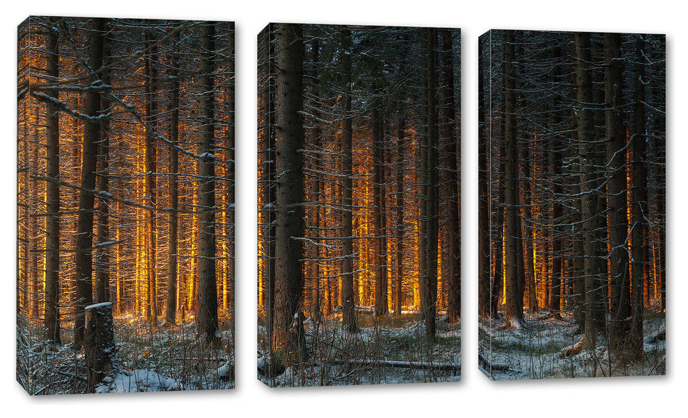 Yellow Sunlight in Dark Forest, 3-Panel Canvas Print Wall Art, 48"x32"