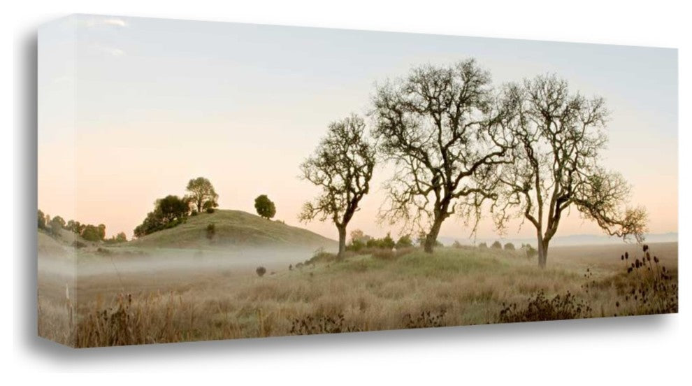 "Oak Tree - 32" By Alan Blaustein, Giclee Print on Gallery Wrap Canvas