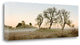 "Oak Tree - 32" By Alan Blaustein, Giclee Print on Gallery Wrap Canvas