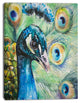Larger Peacock Watercolor, Abstract Canvas Art Print, 30"x40"