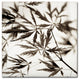 Alan Blaustein ''Florison 50'' Canvas Art, 24x24