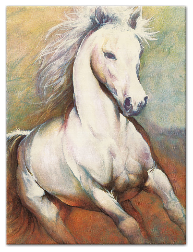 White Horse Running Wild 12x16 Canvas Wall Art