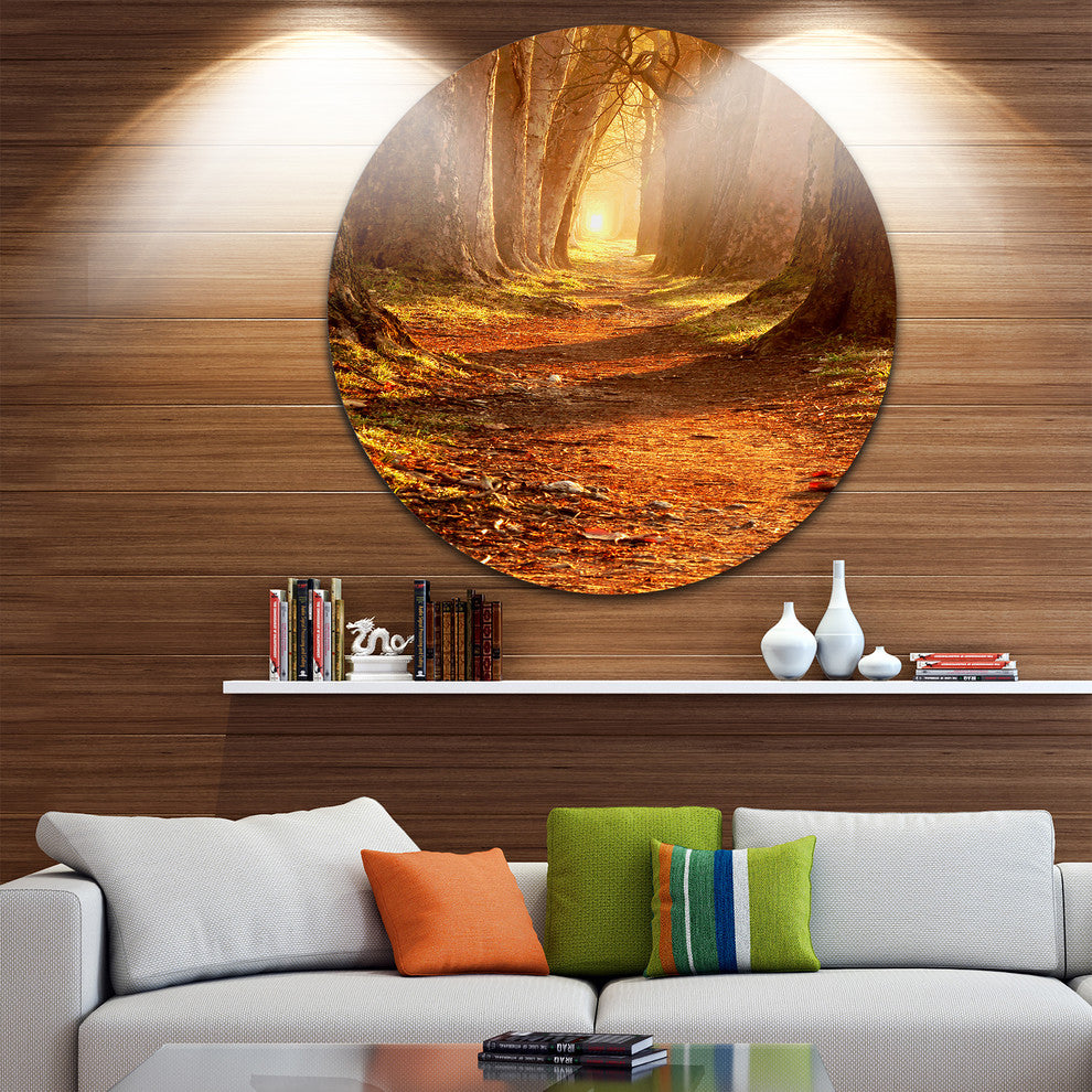 Magic Morning At The Fall Park, Landscape Photo Disc Metal Artwork, 11"