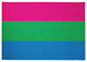 Polysexual Chenille Rug, Polysexual, 5'x7'