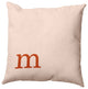 20"x20" Modern Monogram Decorative Throw Pillow, Sienna