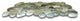 Sea Green Glazed Pebble Tile: Natural Stone, 12x12 sheet, hand-sorted